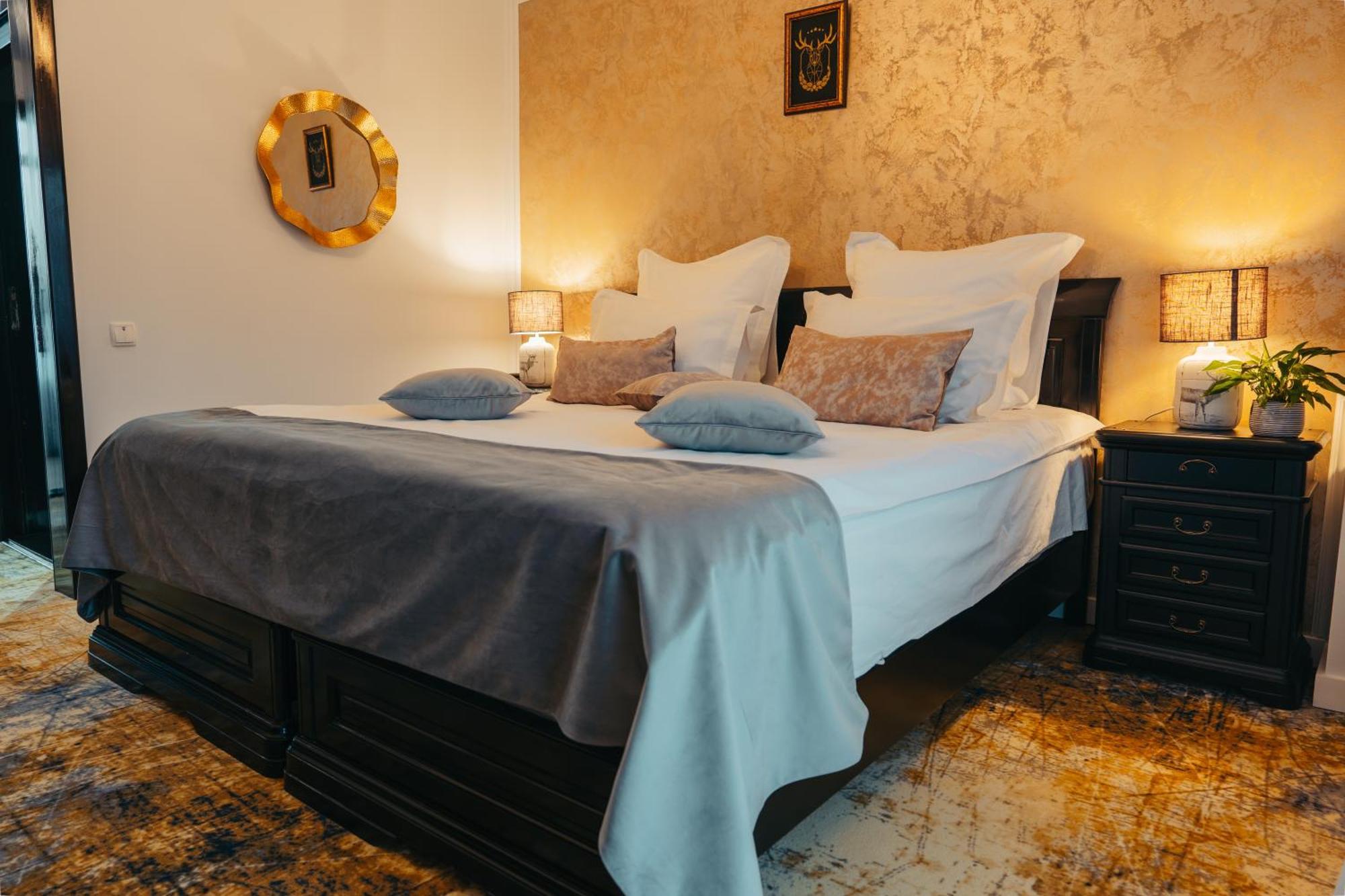 Curtea Domneasca Hotel Vaslui Eksteriør billede